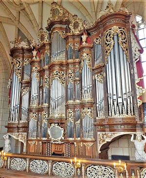 Altenburg, Schlosskirche (Trost-Orgel) (1).jpeg