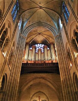 Paris, Notre Dame (CCO) (2).jpg