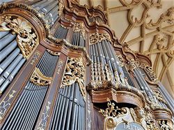 Altenburg, Schlosskirche (Trost-Orgel) (2).jpeg