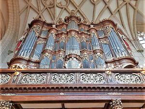 Altenburg, Schlosskirche (Trost-Orgel) (6).jpeg