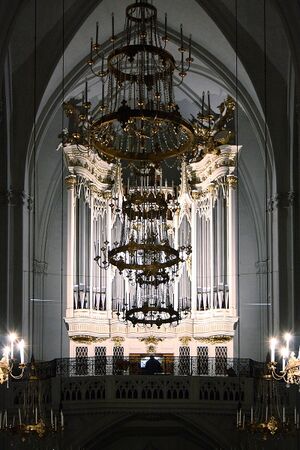 Augustinerkirche Rieger-Orgel.jpg