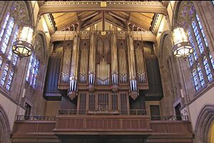 Bryn Mawr Prospekt.JPG