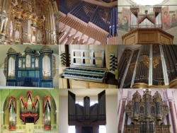 Collage Organindex.png