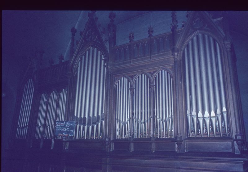 Datei:Föhren Link 6.jpg