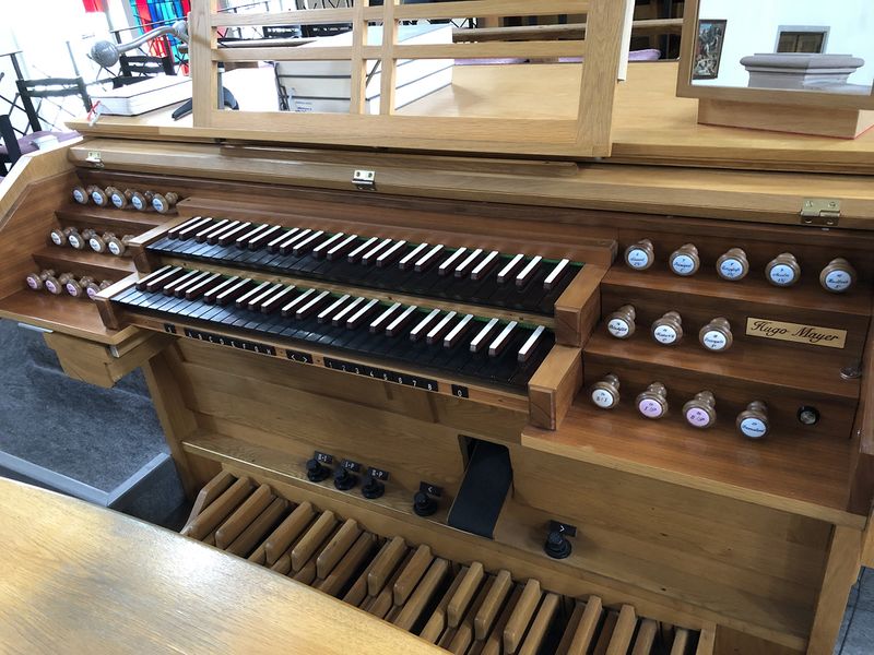 Datei:Föhren Mayer 4.jpg