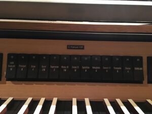 Graz Stadtpfarrkirche Register (2).JPG