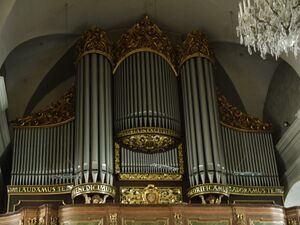 Linz, Stadtpfarrkirche, Prospekt.JPG