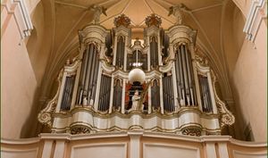 Tytuvėnų Klosterkirche St Marien Prospektansicht.jpg