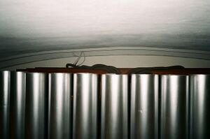 Völklingen, St. Eligius (14).JPG