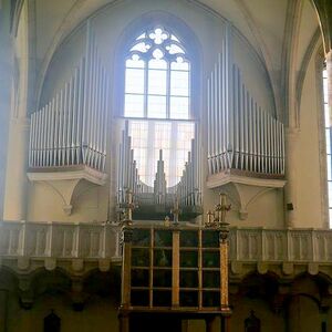 Wiener Neustadt, Georgskathedrale, Orgel1.jpg