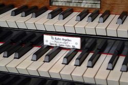 Zürich St. Anton Tasten.jpg